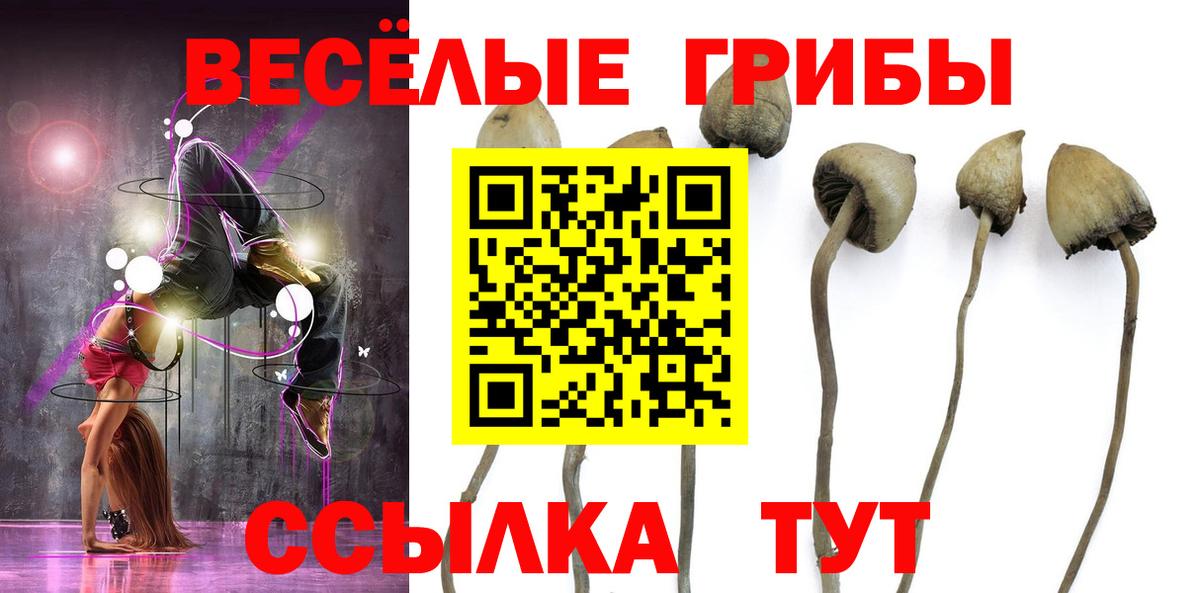 Ачинск  Псилоцибиновые грибы GOLDEN TEACHER  хочу наркоту  Вход с VPN 